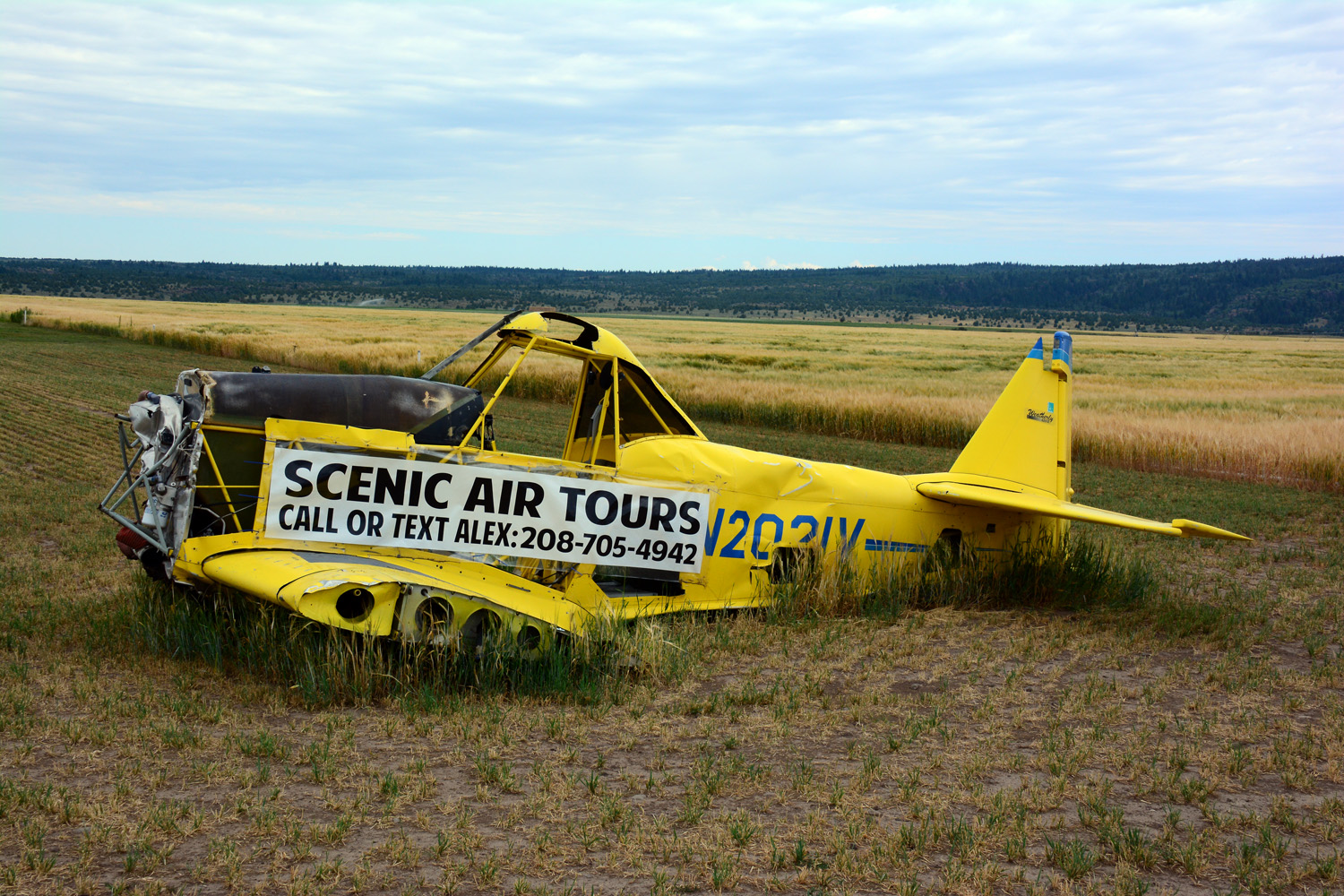 Scenic Tours Advertising
